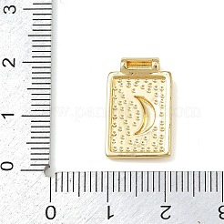 Messing Anhänger & Charms&nbsp;KK-P341-02A-G