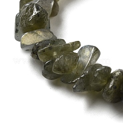 Perline labradorite naturale fili&nbsp;G-F771-B01-01