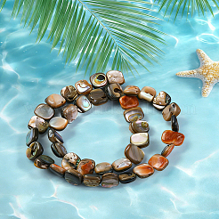 1 hebra de cuentas de concha de paua natural&nbsp;BSHE-PA0001-07