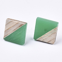 Orecchini a bottone in resina opaca e legno&nbsp;EJEW-N017-005A-B02