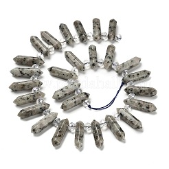 Natürliche Sesamjaspis-Doppelendperlenstränge&nbsp;G-H069-A05-01