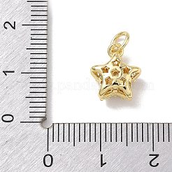 Breloques en laiton avec zircone cubique de micro pave&nbsp;KK-L268-030G-02