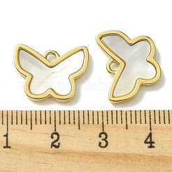Ionenplattierung (IP) 304 Edelstahl Pavé Muschel Anhänger&nbsp;FIND-Z028-24G