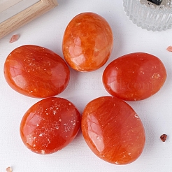 Natürliche rote Aventurin-Palmensteine&nbsp;WG36594-01