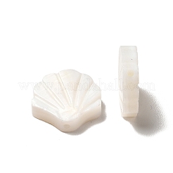 Perles de coquillages naturels d'eau douce&nbsp;LS-BSHE-E026-06