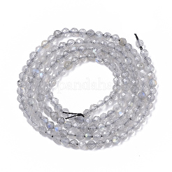 Natur Labradorit Perlen Stränge&nbsp;X-G-S361-2mm-010