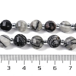 Natürliche schwarze Netzsteinperlenstränge&nbsp;G-G182-B32-03