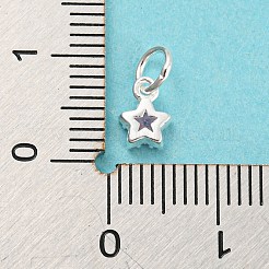 925 Sterling Silber Geburtsstein Charms&nbsp;LS-STER-G035-01C-04