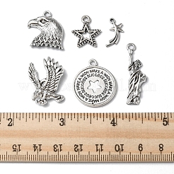 48 pz 6 stili pendenti in lega di stile tibetano&nbsp;FIND-FS0001-49