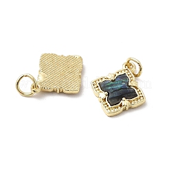 Pendentifs avec zircon cubiques à micro-pavés en laiton&nbsp;KK-K384-05G