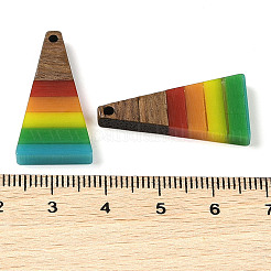 Pendentifs en résine et bois de noyer sur le thème arc-en-ciel de la fierté&nbsp;WOOD-K012-10C