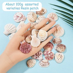 100g 2 Stile Muschelschalenperlen&nbsp;SSHEL-YW0001-08