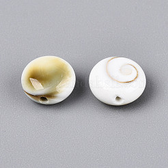 Natürliche Shiva Eye Shell Perlen&nbsp;BSHE-T014-33A