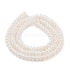 Fili di perle di conchiglie galvanizzate&nbsp;BSHE-C006-04A