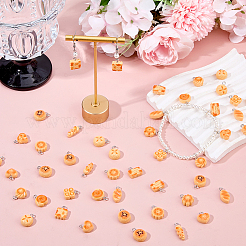 50pcs pendentifs en résine opaque&nbsp;RESI-DC0001-62
