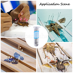 4 estilo 201 alfileres de insectos de acero inoxidable&nbsp;FIND-GL0002-15