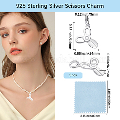 5 pieza 925 dijes de plata esterlina&nbsp;STER-BBC0009-93B