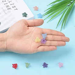 Mischfarbe transparent gefrostet Acryl Blumen Perlen&nbsp;X-PLF018