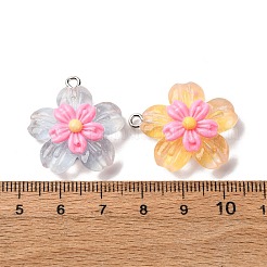 Pendentifs en résine transparente&nbsp;RESI-A046-05A