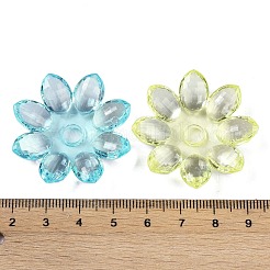 Abalorios de acrílico transparentes&nbsp;OACR-H118-01