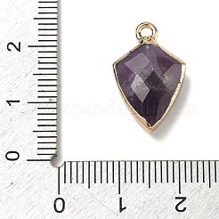 Natürlichen Amethyst Edelsteinanhänger&nbsp;G-K422-01G-11
