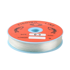 Fil de pêche de nylon transparent&nbsp;EC-L001-0.3mm-01