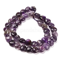 Natürlichen Amethyst Perlen Stränge&nbsp;G-H005-C11-01