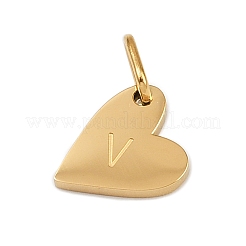 Breloques en acier inoxydable 304&nbsp;LS-STAS-L291-01G-V