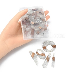 20pcs 10 estilos de resina transparente y colgantes grandes de madera de nogal&nbsp;RESI-YW0001-31