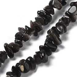Brins de perles d'obsidienne à éclat argenté naturel, 1~8x5~17x5~8mm, Trou: 0.9~1mm, 30.31~31.50'' (77~80 cm)