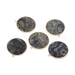 Ciondoli di diaspro naturale di kambaba, con accessori di ottone, rotondo e piatto, oro, 32~34x28.5~31x2mm, Foro: 1.6 mm