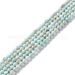 Fili di perle di diaspro imperiale naturale, tinto, sfaccettato, tondo, turchese pallido, 3~3.5mm, Foro: 0.7~0.8 mm, circa 126~137pcs/filo, 15.24~15.39 pollice (38.7~39.1 cm)
