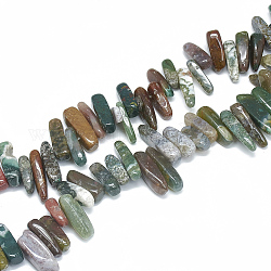 Chapelets de perles en agate indienne naturelle, bande irrégulière, 10~30x5~10x3~9mm, Trou: 1mm, Environ 65~85 pcs/chapelet, 14.9 pouce