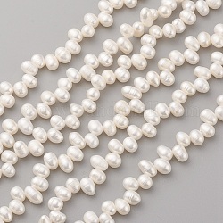 Fili di perle di perle d'acqua dolce coltivate naturali, ovale, vecchio pizzo, 8~14x5~6mm, Foro: 0.5 mm, circa 66pcs/filo, 14.1 pollice (36 cm)