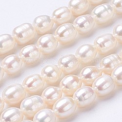 Brins de perles de culture d'eau douce naturelles, riz, couleur de coquillage, 7~8x6~7mm, Trou: 0.5mm, Environ 45~46 pcs/chapelet, 13.8 pouce (352 mm)