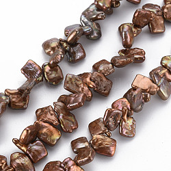 Naturali keshi perline perle fili, perla d'acqua dolce coltivata, tinto, quadrato, sienna, 9~20x9~12x3~6mm, Foro: 0.5 mm, circa 58~83pcs/filo, 15.75 pollice (40 cm)