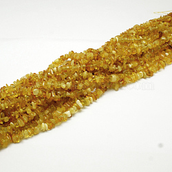 Ambra naturale perline di chip fili, 4~6x4~6mm, Foro: 1 mm, circa 15.5 pollice