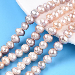 Fili di perle di perle d'acqua dolce coltivate naturali, patata, prugna, 6~9x6.5~7.5mm, Foro: 0.6 mm, circa 52~53pcs/filo, 13.58~13.78 pollice (34.5~35 cm)
