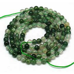 Natural Moss Agate Bead Strands, Round, 3mm, Hole: 1mm, about 128pcs/strand, 15.5inch
