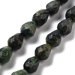 Fili naturali di perle di diaspro di kambaba, sfaccettato a goccia, 10x7mm, Foro: 1.2 mm, circa 20pcs/filo, 7.87'' (20 cm)