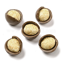 Cabochons décodés en résine opaque, imitation de noix, noix de macadamia, cornsilk, 24x23x20mm