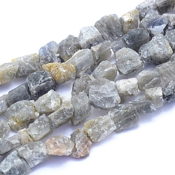 Raw Rough Natural Labradorite Beads Strands, Nuggets, 6~12x6~10x5~8mm, Hole: 0.7mm, about 48pcs/strand, 15.75 inch(40cm)