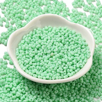Perles de rocaille en verre dépoli&nbsp;SEED-K009-05B-05-1