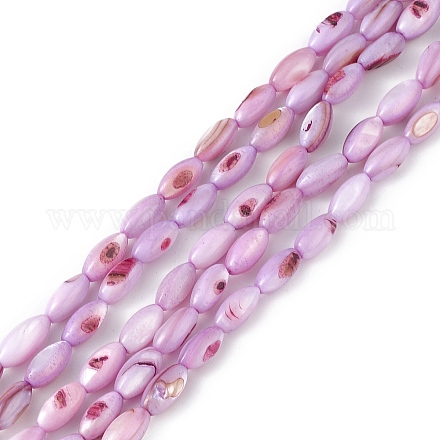 Brins de perles d'eau douce naturelles teints en coquille SHEL-M018-13-10-1