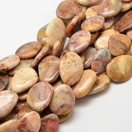 Natural Agate Nuggets Beads Strands G-P093-15-1