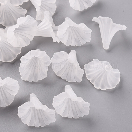 Perles en acrylique transparente BSF796-1