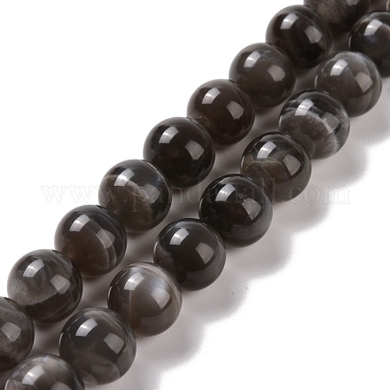 Naturelles perles de pierre de lune noir brins G-J157-12mm-05-1