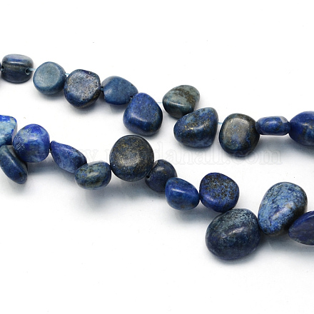 Natural Lapis Lazuli Stone Bead Strands G-R222-09-1