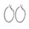 Brass Hoop Earrings, with Rhinestone, Platinum, 50mm