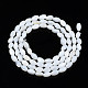 Natural Freshwater Shell Beads Strands SHEL-N003-25-A01-2